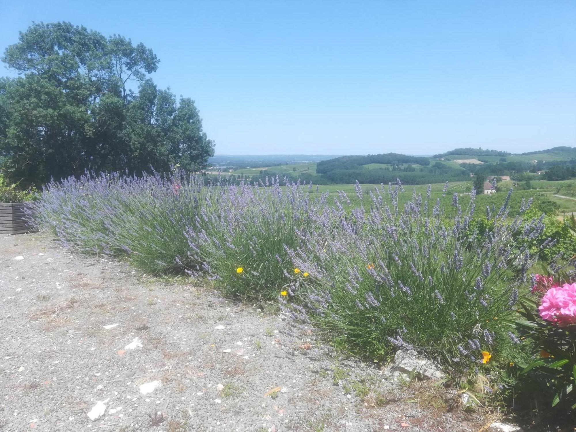 Les Vignes Villa Pomport Kültér fotó